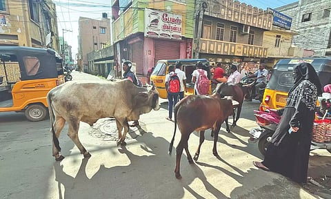 Representative Image&nbsp;