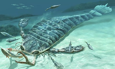 Fossils Show: Giant Predatory Sea Scorpions Were Distance Swimmers