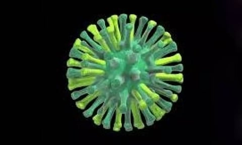 Representative Image (IANS)