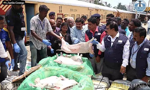 1,600 kg of stale mutton seized by officials at Chennai egmore station (Photo credit: Justin George)