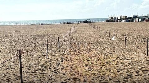 Elliot Beach (Daily Thanthi)