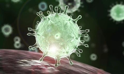 Representative Image (IANS)