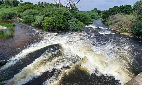Dye waste water contaminates Noyyal river in Tirupur