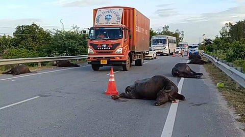 Image from the accident spot