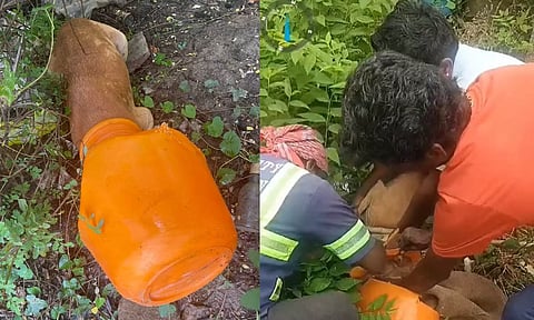 Visuals of municipal workers rescuing the dog