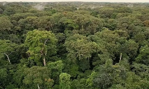 Representative Image&nbsp;