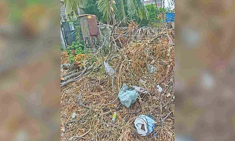 Unremoved tree branches cover Gandhi Nagar 4th Street in Kodungaiyur