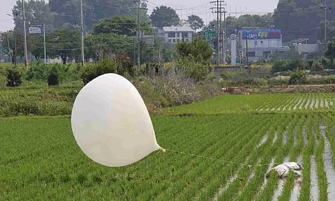 &nbsp;A balloon presumably sent by North Korea, is seen in a paddy field in Incheon, South Korea (AP)
