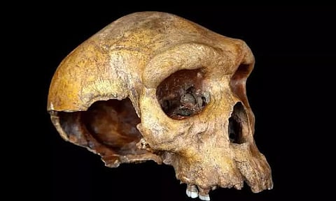 Human skull found at Chennai construction site 9 months after cave-in