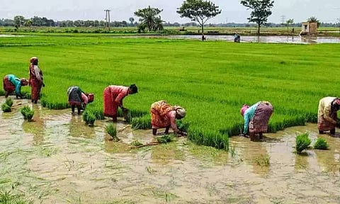 Representative Image&nbsp;