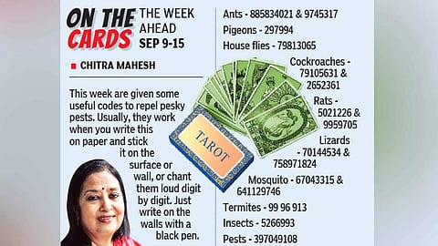 Tarot: Unlocking divine messages; spiritual significance of angel numbers revealed