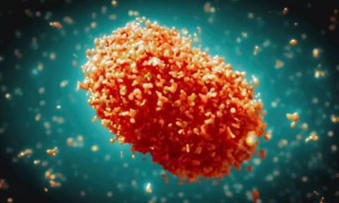 Representative Image (IANS)