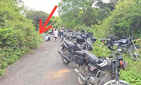 &nbsp;Overgrown thorny plants on rural roads (Daily Thanthi)