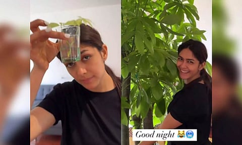 Mrunal Thakur (IANS)