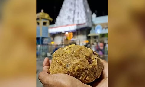 Tirupati Laddu (X)