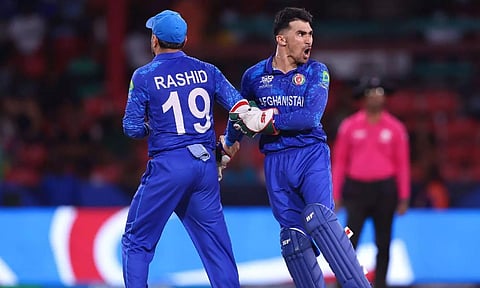Afghanistan players celebrate after a wicket (X)