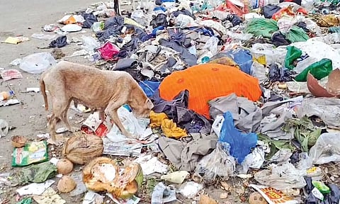 A sore sight on National Highway near Singaperumal Koil