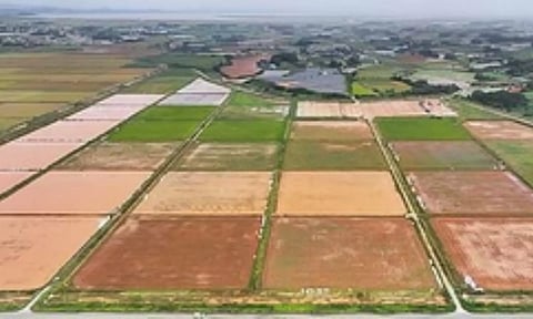 Representative Image (IANS)