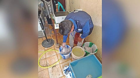 Food safety seizing chemicals used to clean seafood&nbsp;