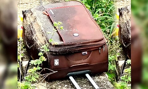 Decomposed body of young woman found dumped in suitcase