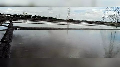 A salt pan in Thoothukudi inundated with rainwater
