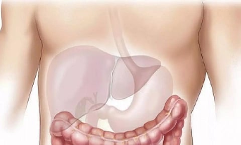 Representative Image (IANS)