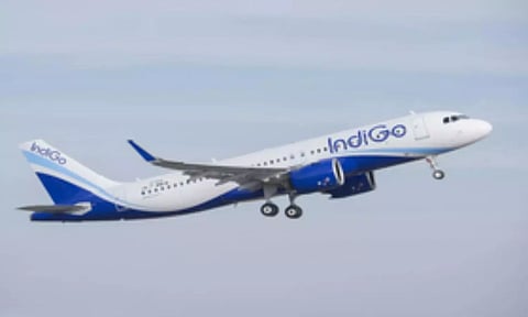 Indigo Flight