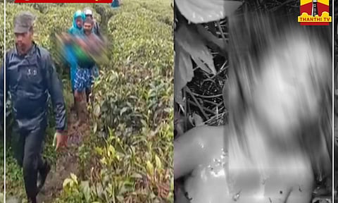 Incident from the spot (Thanthi TV)