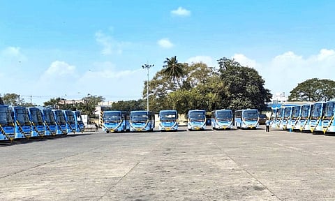 Buses