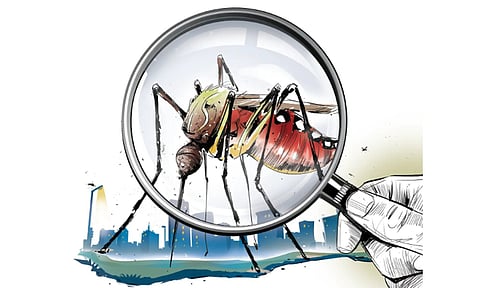 DT Next Illustration