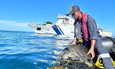 An ICG Ship Rani Abbakka rescued the turtle while it was on patrol