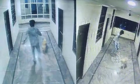 Video grab of man falling out of window while chasing dog across hotel floor