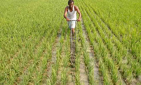 Representative Image&nbsp;