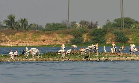 Representative Image