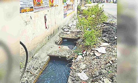 Untreated sewage discharged into stormwater drain on Oil Mill Road, Iyyapanthangal
