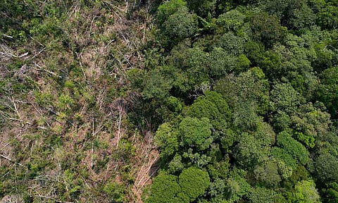 Representative Image (Reuters)&nbsp;