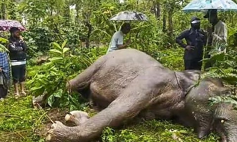 Representative Image (PTI)&nbsp;