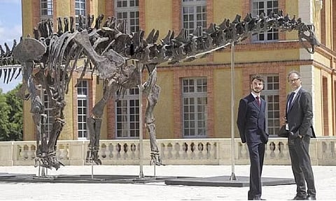 Vulcain', an Apatosaurus dinosaur skeleton, formerly known as a Brontosaurus, on display at Château de Dampierre-en-Yvelines, outside Paris (PTI)