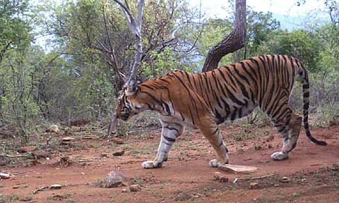 Representative Image&nbsp;