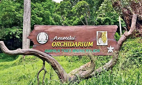 Orchidariums at Anamalai Tiger Reserve