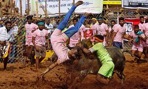 A Jallikattu event in motion (File photo)&nbsp;