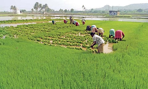 Representative Image&nbsp;