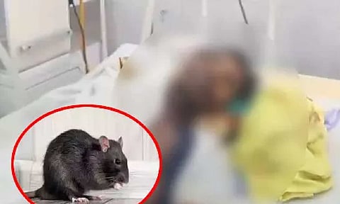 Dead man's eye goes missing at Bihar hospital; doctors blame rats, family suspects foul play