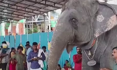 Representative Image