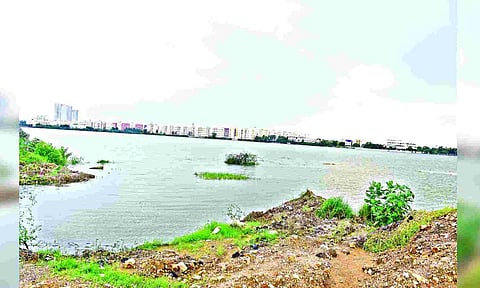Pallikaranai marshland
