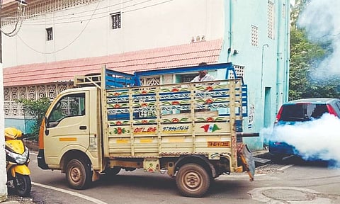 Mosquito-control measures intensified in Chennai