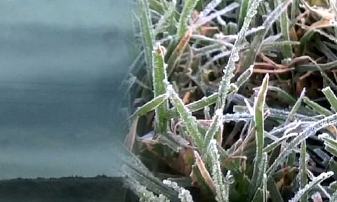 Frost covers fields in Ooty (Thanthi TV)