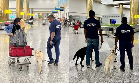 Chennai Airport Customs officials with sniffer dogs