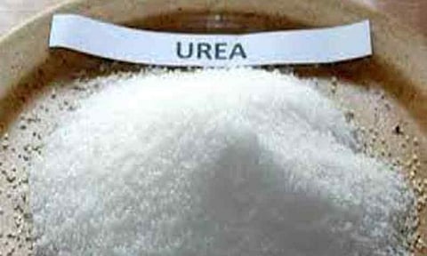 Representative Image&nbsp;