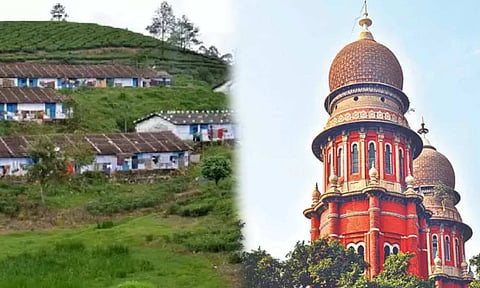 Manjolai estate part of critical tiger habitat, says Madras HC, refuses to stop workers' eviction